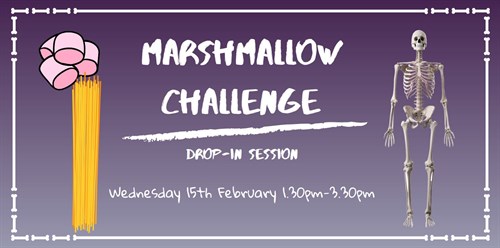 Marshmallow Challenge 2023