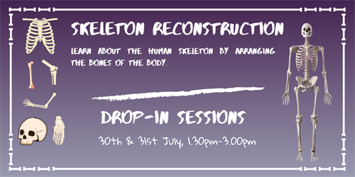 Skeleton Reconstruction Flyer