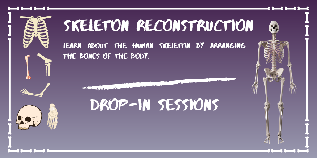 Skeleton Reconstruction Flyer (2)