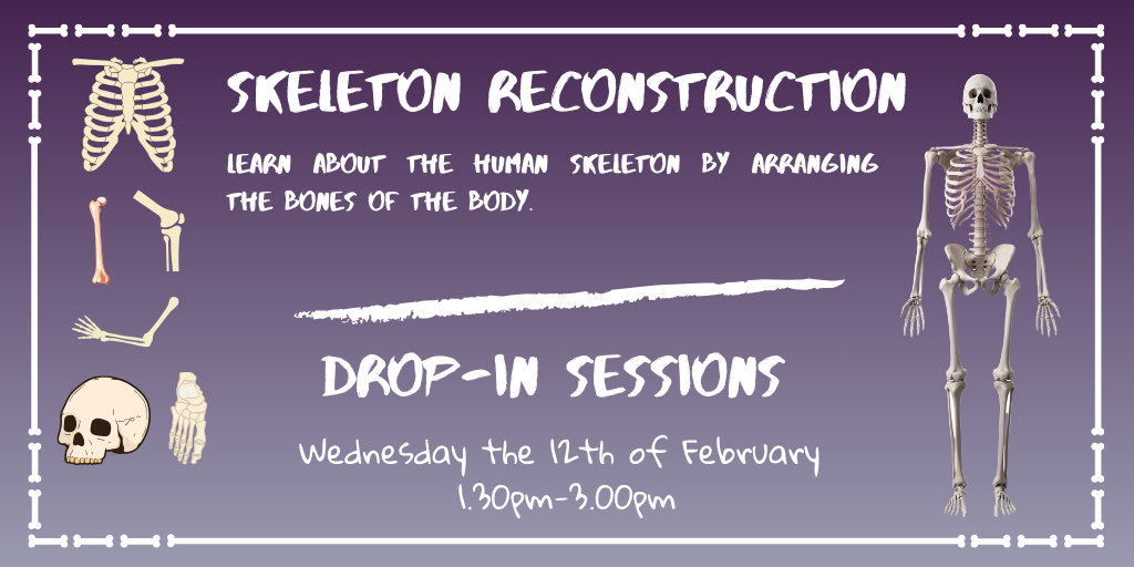 Skeleton Reconstruction Flyer