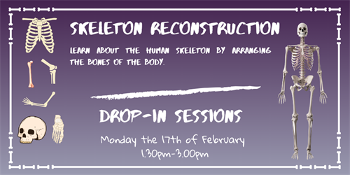 Skeleton Reconstruction Flyer (2)