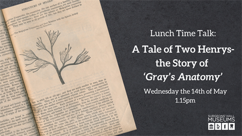 Grays Anatomy WITHOUT RARE BOOKS LOGO 1 