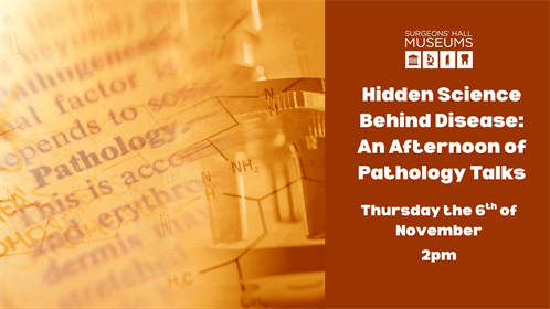 Copy Of Copy Of Copy Of Dissecting The Author Sep 24 (1)