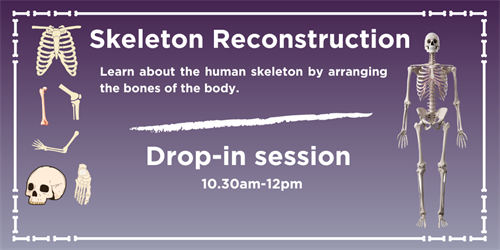 Skeleton Reconstruction Flyer  (3)