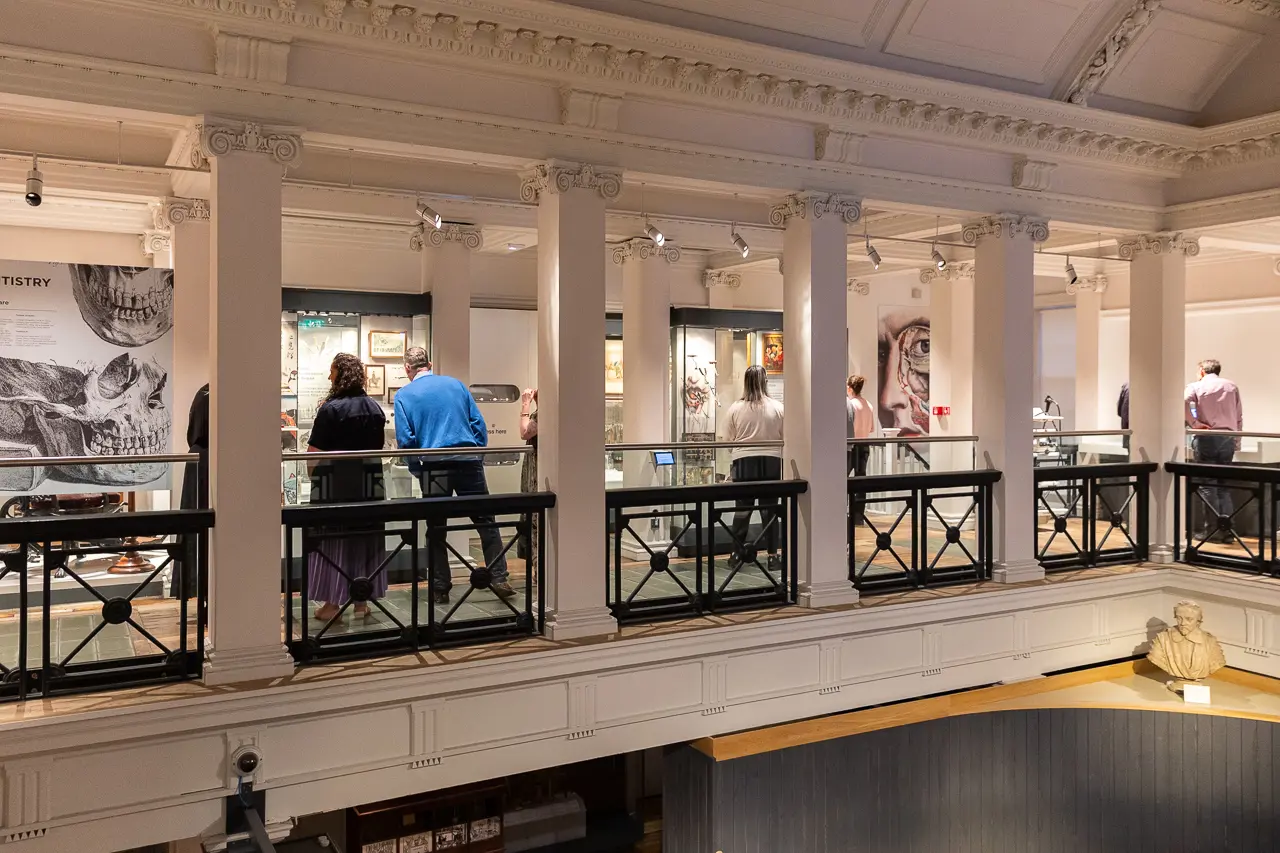 Museum Displays
