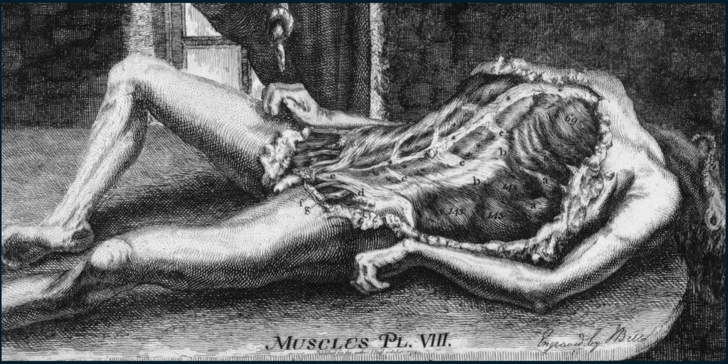 Surgery And Emotion (5)