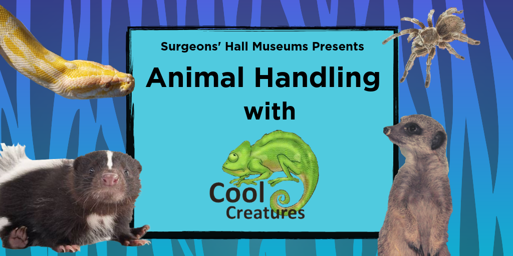 Copy Of Copy Of Cool Creatures (4)