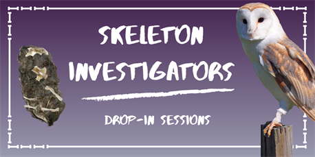 Skeleton Investigators (5)