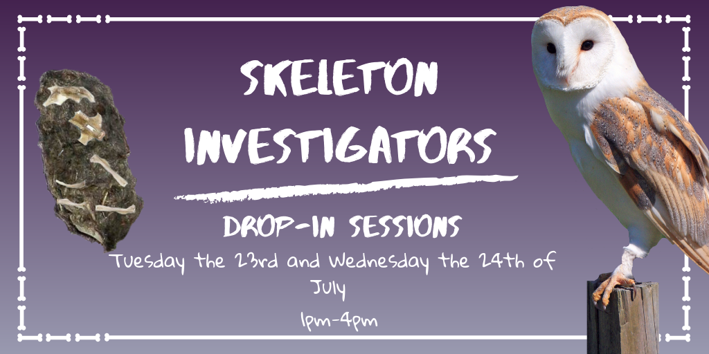 Copy Of Skeleton Investigators Online Image