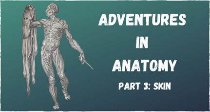 Adventures In Anatomy Skin Online
