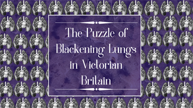 Victorian Lung For Online 1 