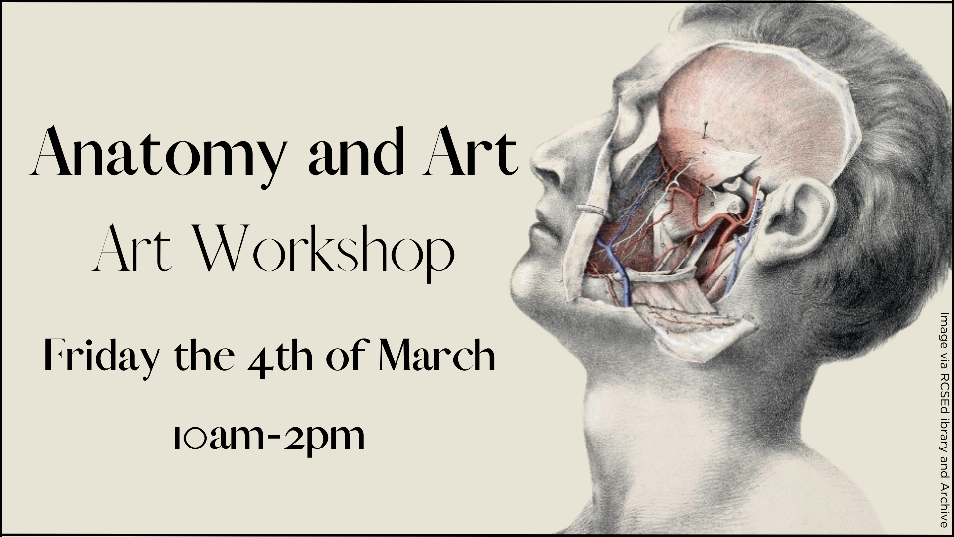 Anatomy and Art: Art Workshop